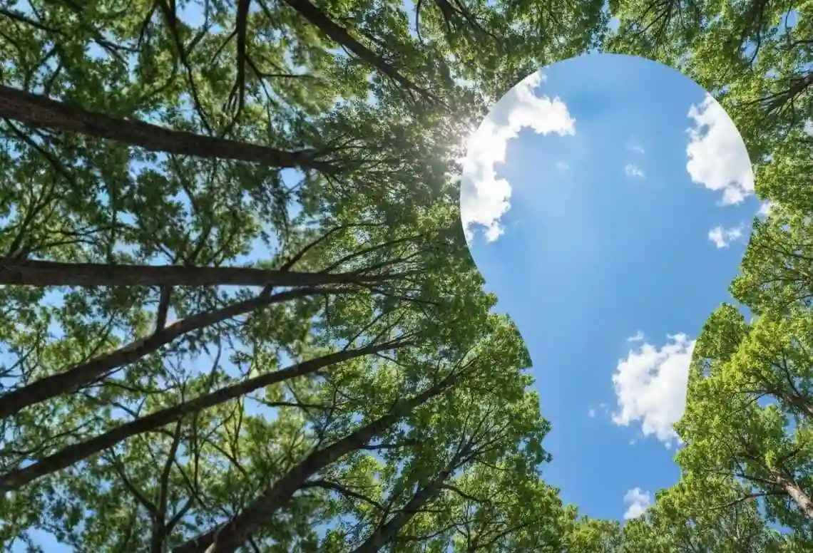 Electricity PSO Levy 2024/2025