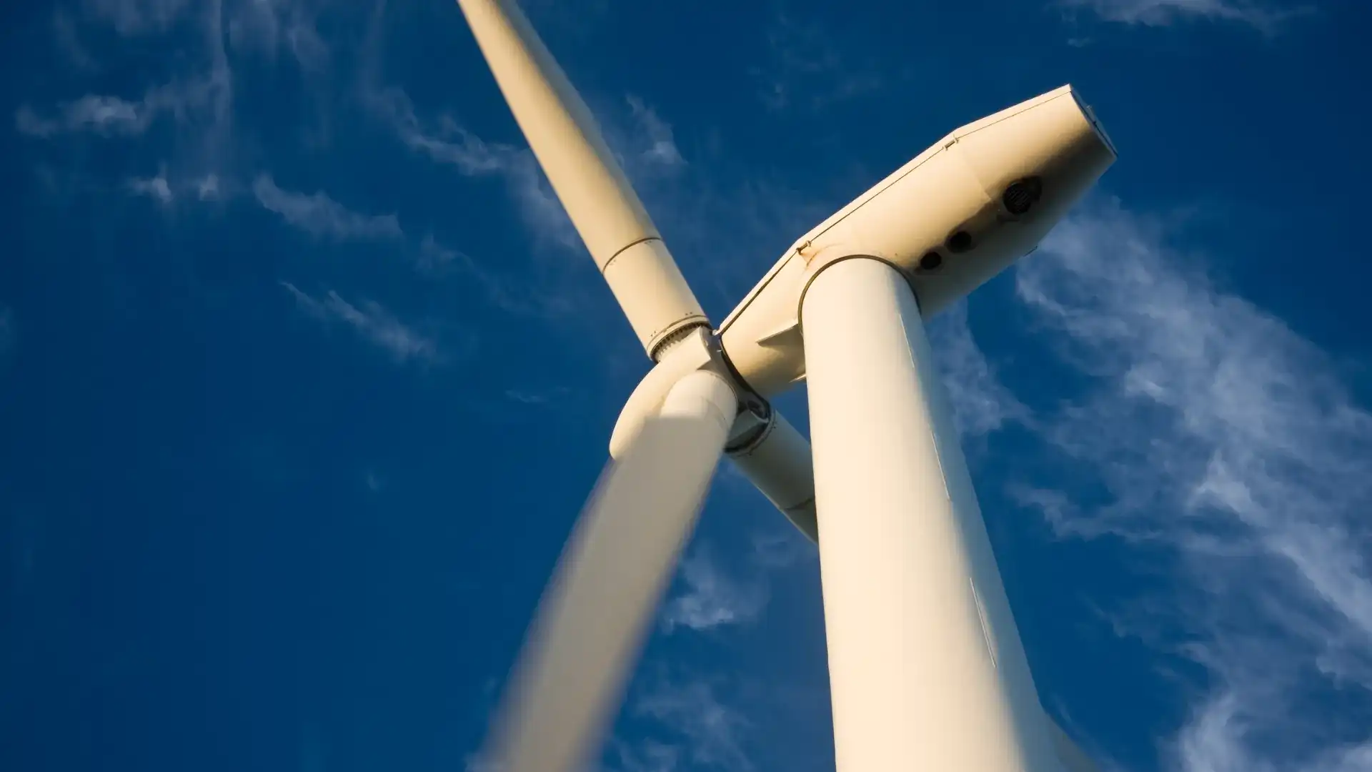 Electricity PSO Levy 2025/2026