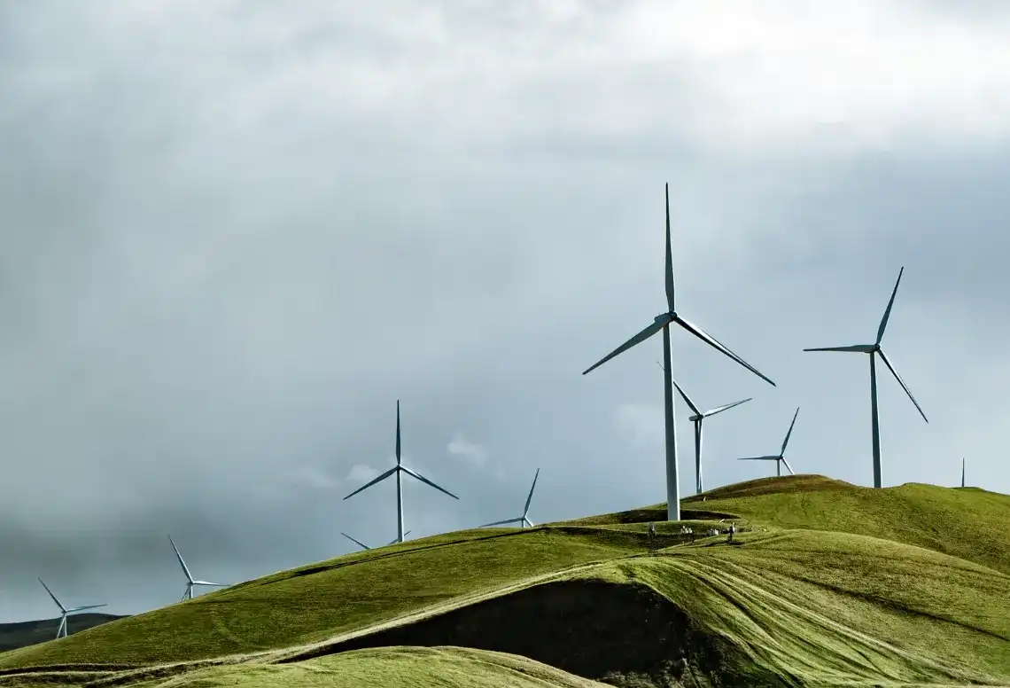 What is the Electricity PSO Levy?