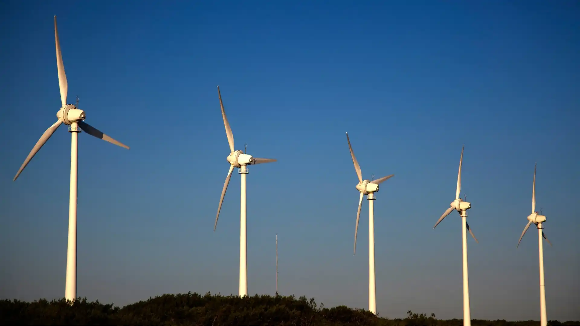 Electricity PSO Levy 2023/2024