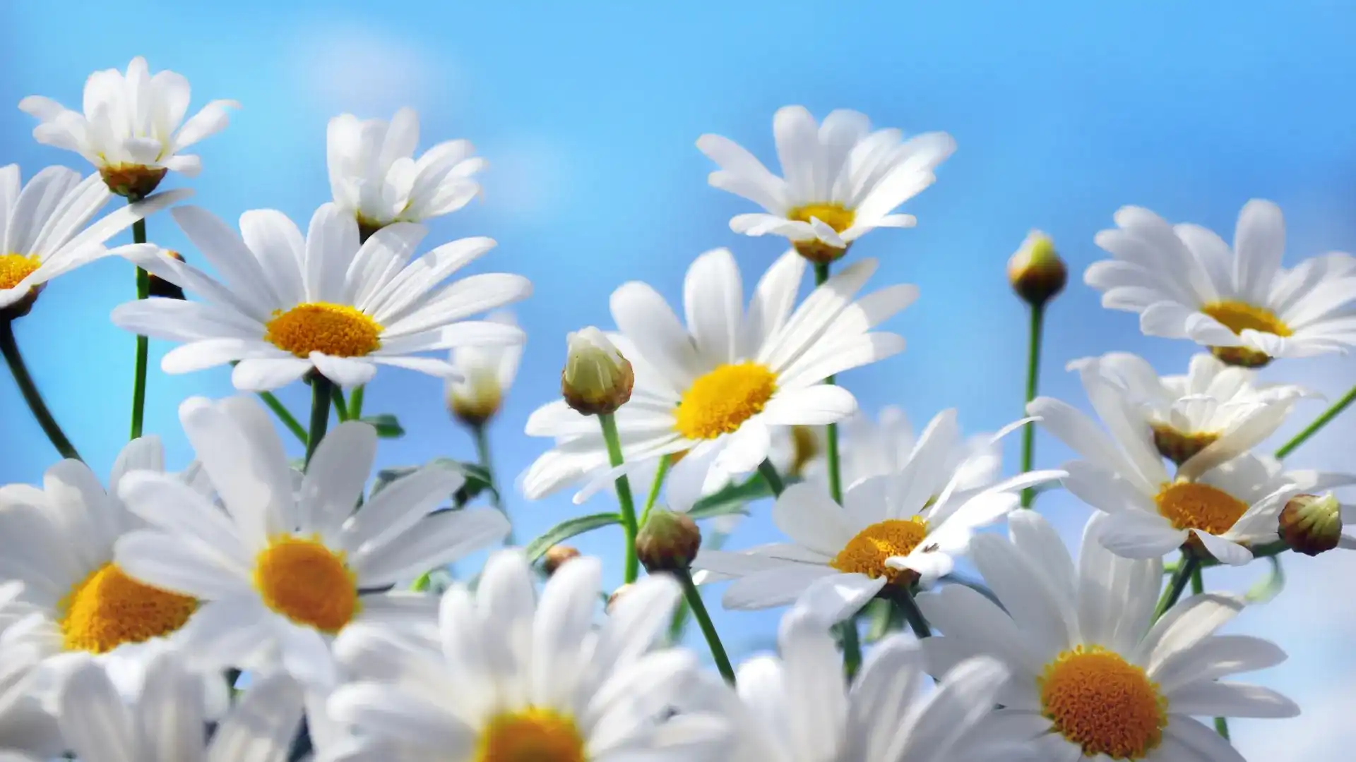 Summer Energy Saving Tips for Businesses