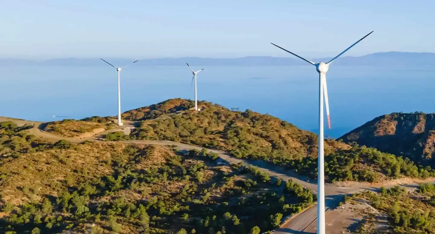 Which Electricity Suppliers in Ireland Offer 100% Renewable Energy?