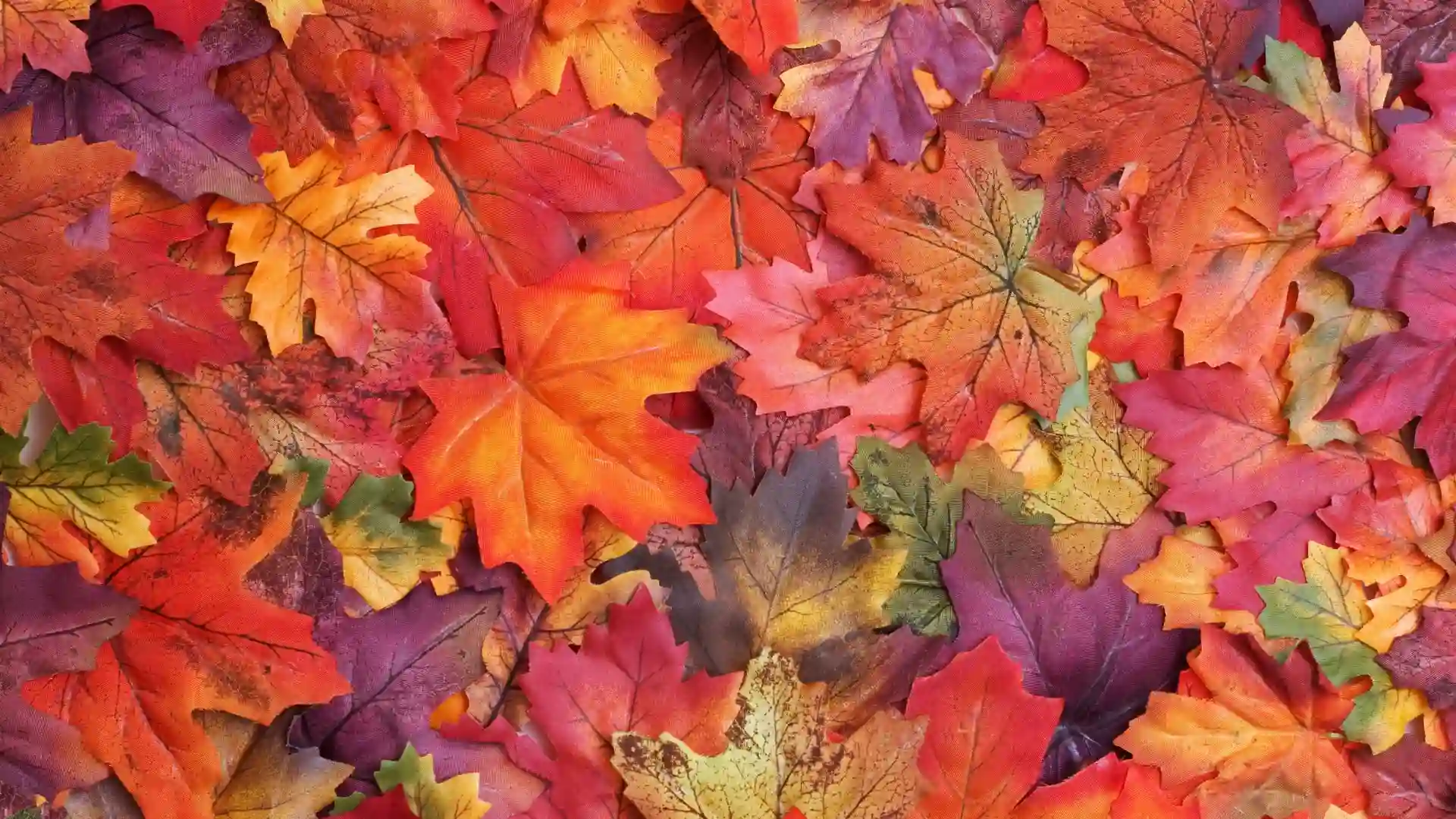 Winter Energy Saving Tips for Businesses