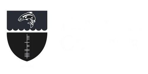 Hibernia College
